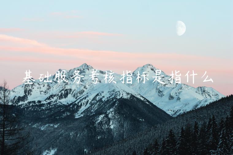 基礎(chǔ)服務(wù)考核指標(biāo)是指什么